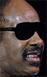 Click t go to Stevie Wonder's page...