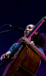 Esperanza Spalding @ South Downs